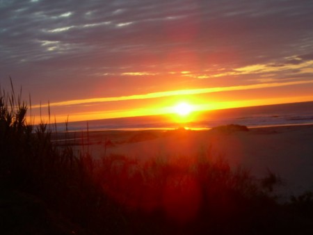 PRODUTOS DA NATUREZA